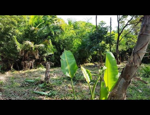 LAND FOR SALE IN PALM BEACH